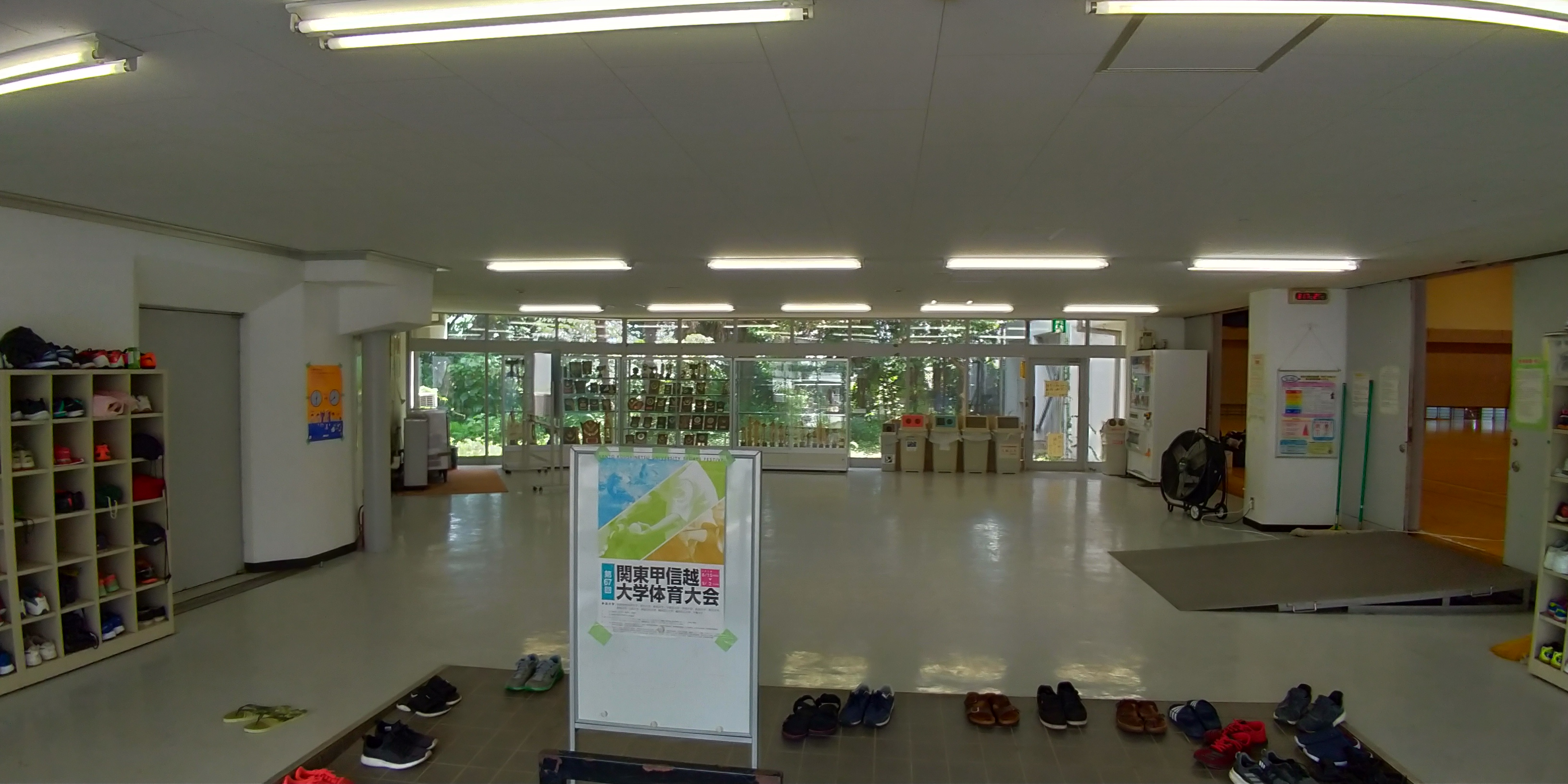 P_20180819_113845_vHDR_Auto.jpg
