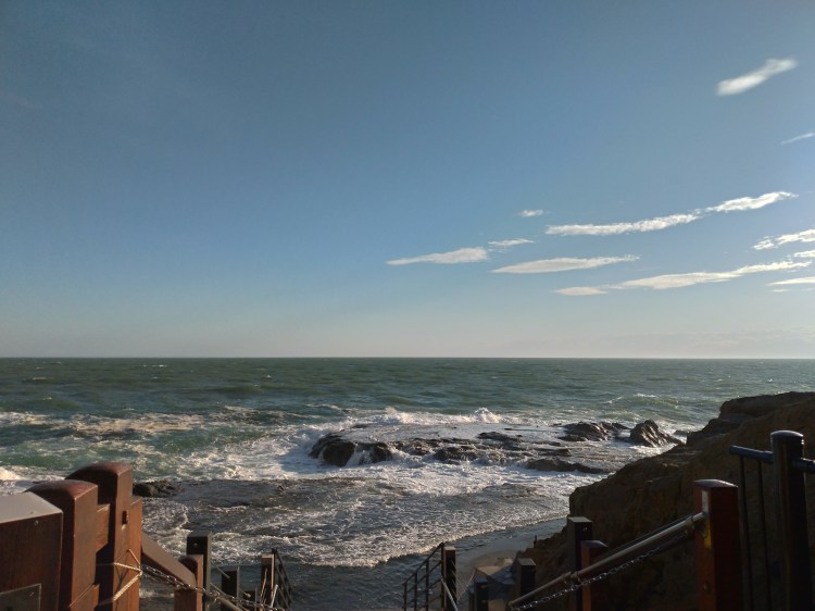 P_20180825_165644_vHDR_Auto_HP