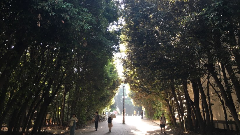 Photo 8-1-18, 8 11 27 AM