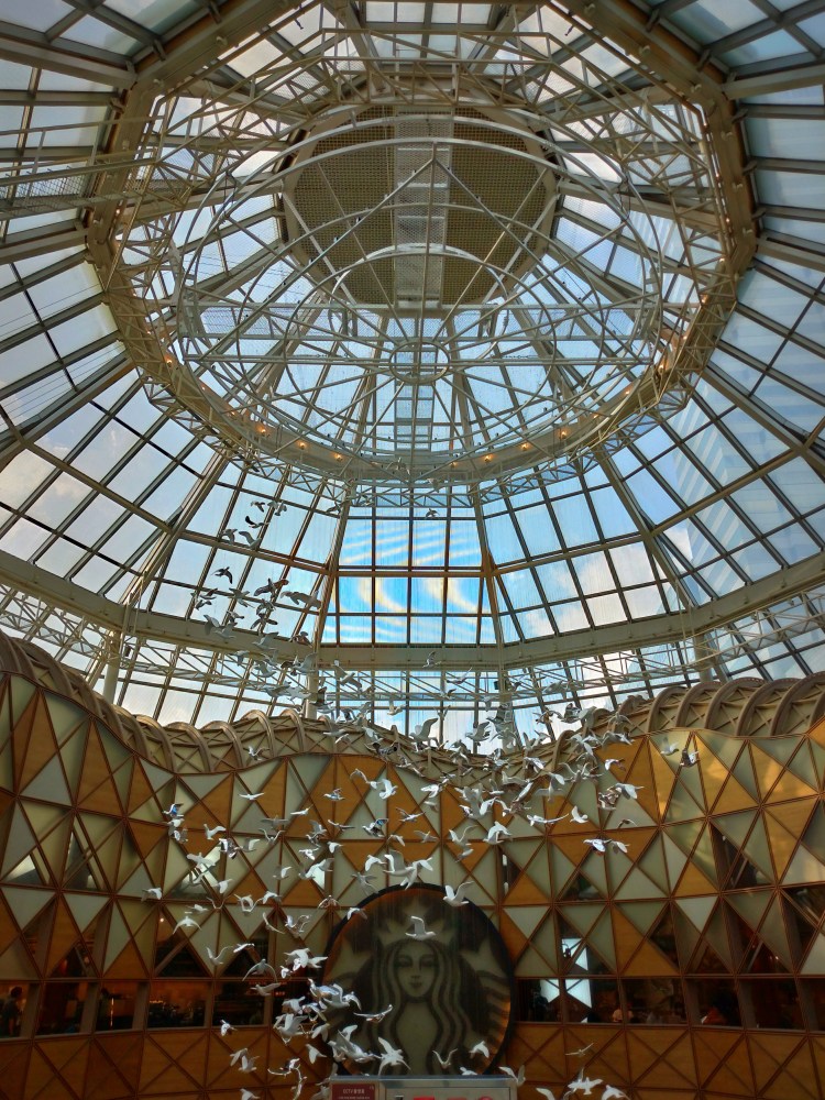 P_20180904_170406_vHDR_Auto_HP