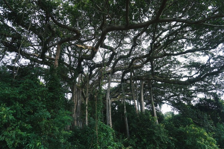 Processed with VSCO with hb2 preset