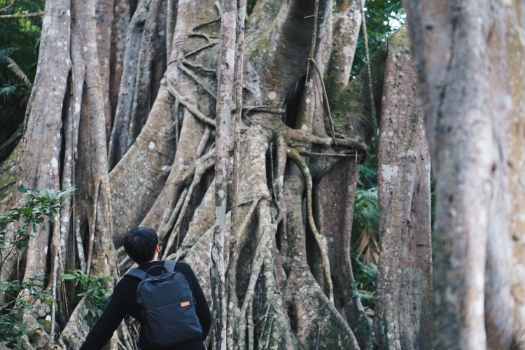 Processed with VSCO with hb2 preset