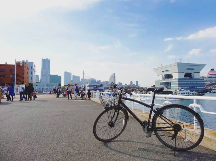 209bb6abe563d13bee35d5442c2d66ee