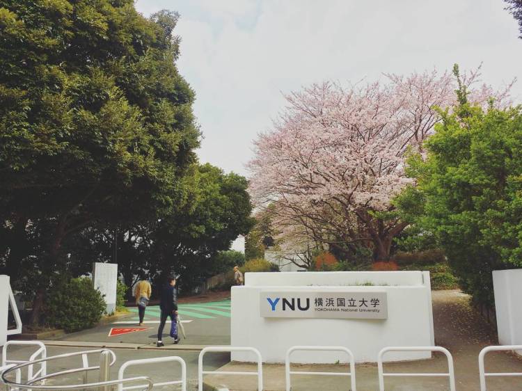 c0494a605247946154919a773cccf8cf