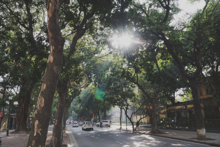 Processed with VSCO with av4 preset