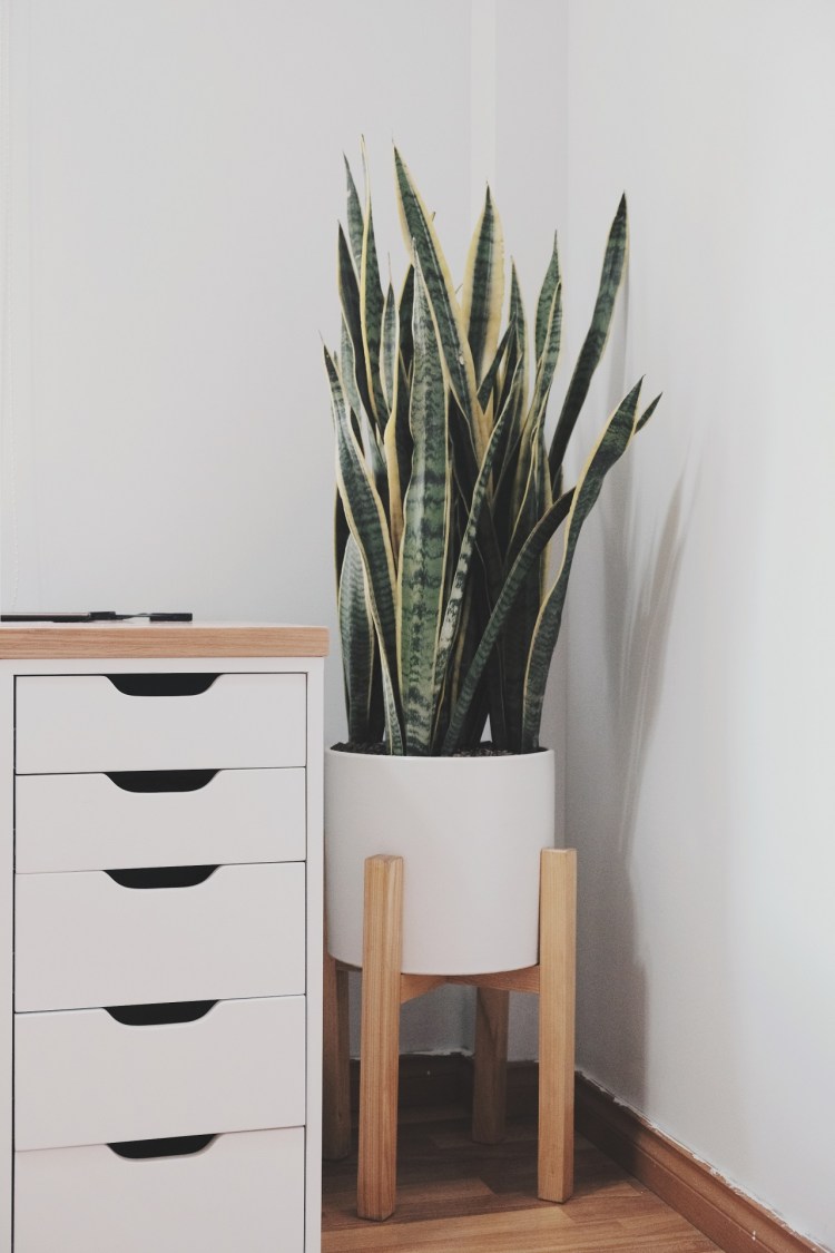 Processed with VSCO with hb2 preset