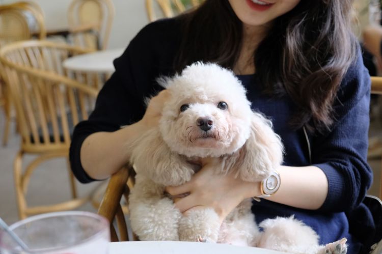 58978514_549686328889483_6208381557149794304_n