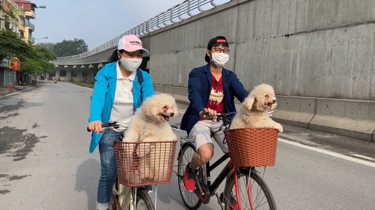 IMG_0871.MOV.00_00_14_07.Still001