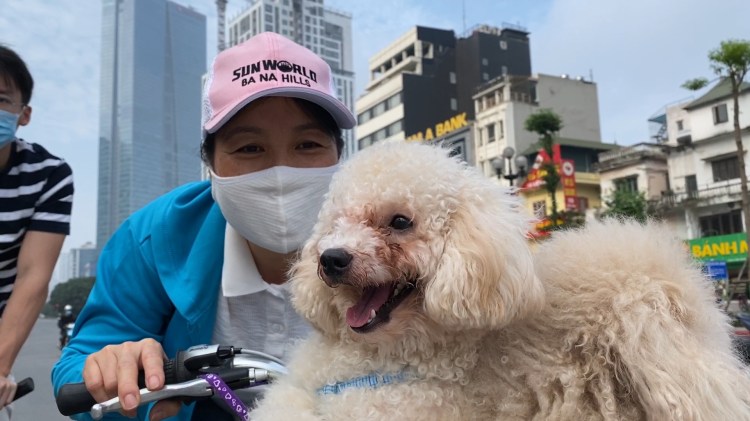 IMG_0874.MOV.00_00_06_27.Still001