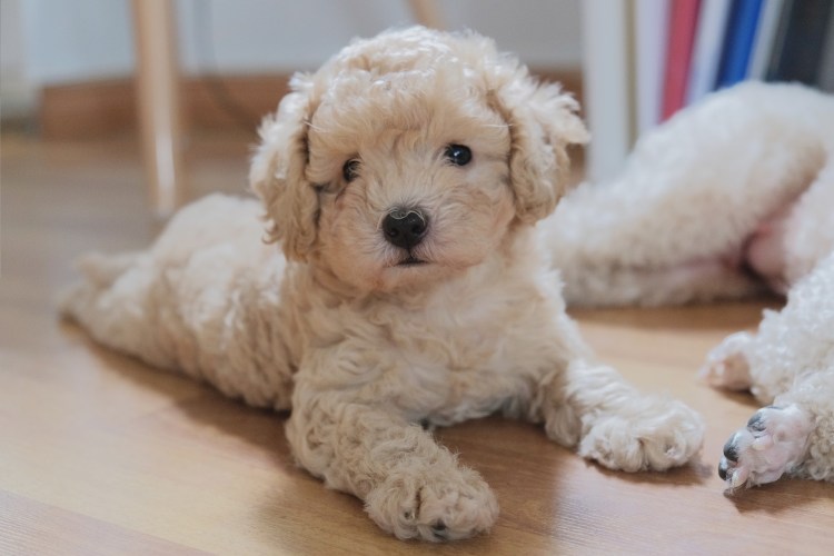 Processed with VSCO with s3 preset